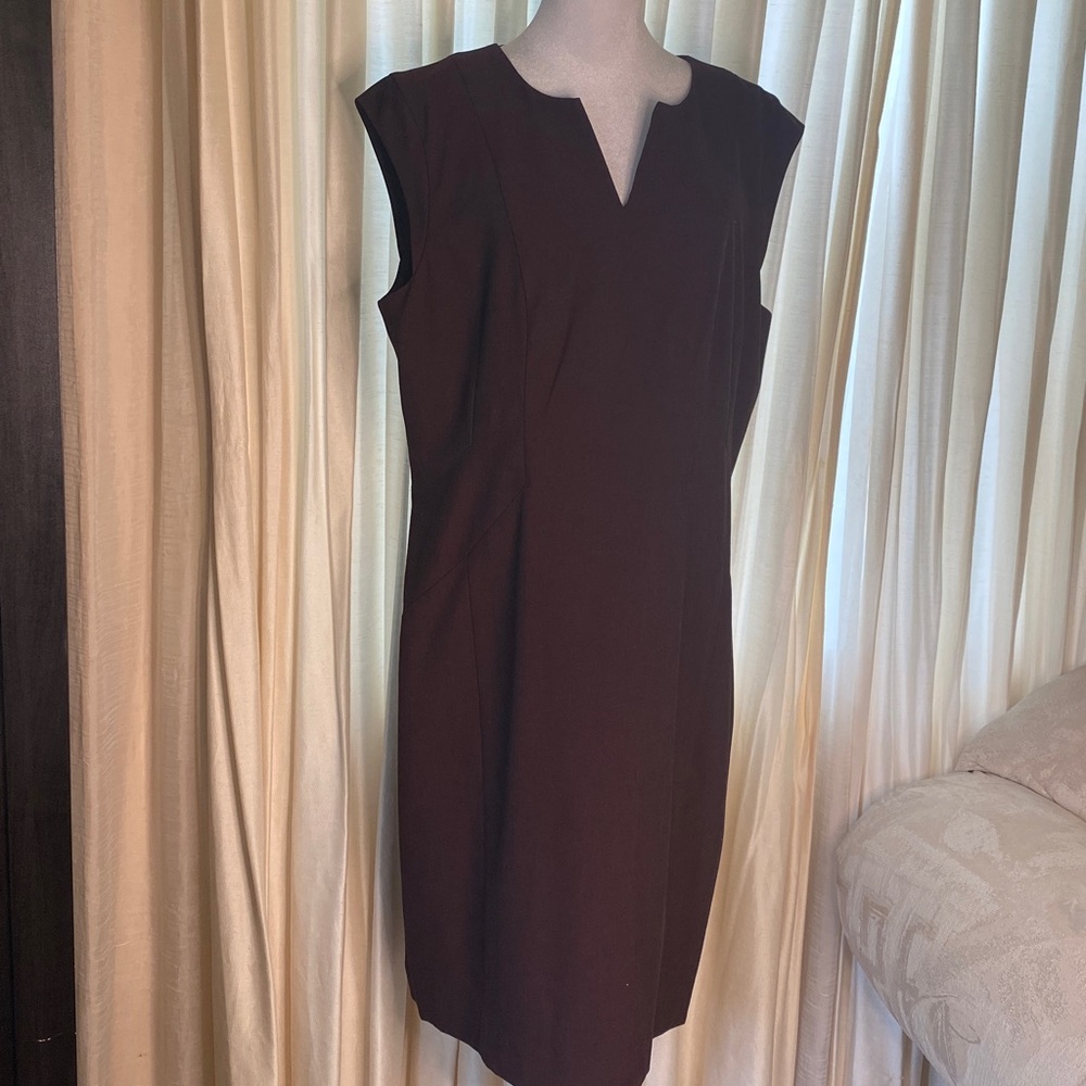 🍁The Limited Rich Burgundy  Dress